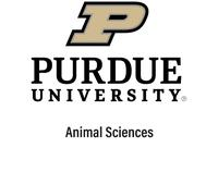 Purdue University Logo